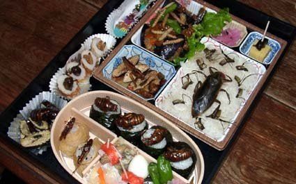 [혐]단백질도시락.jpg