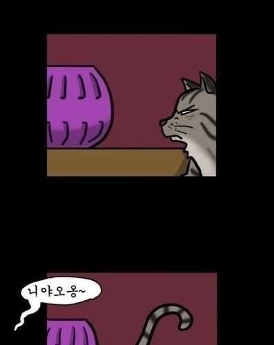 이샛끼 어디갔나.jpg