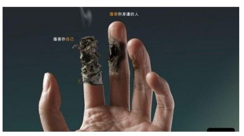 금연포스터.jpg