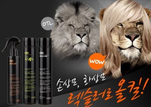티몬의 무리수.jpg