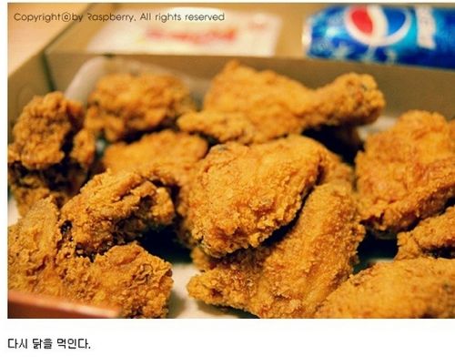 외국관광객 관광시키기.jpg