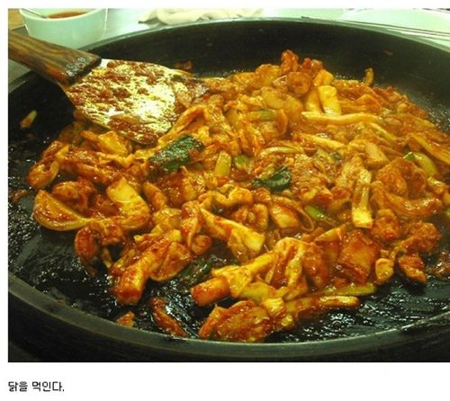 외국관광객 관광시키기.jpg