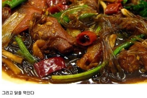 외국관광객 관광시키기.jpg