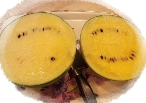 대만의 수박.jpg