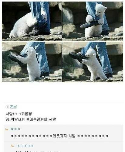 물어죽인다.jpg