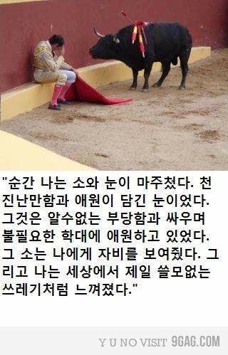 투우사의 고백.jpg