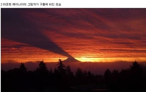 2012년 상반기 화제의 사진들