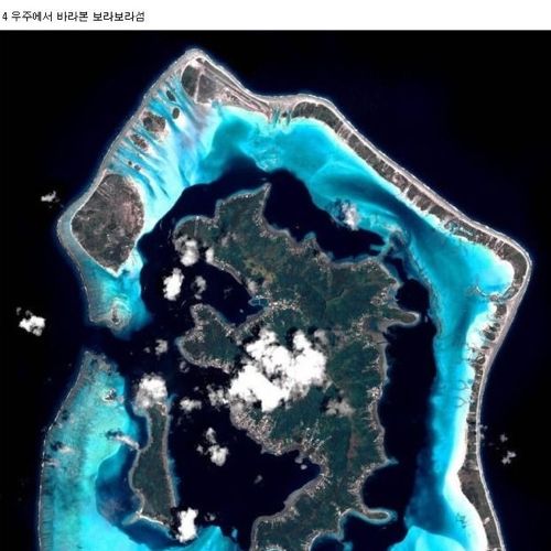 2012년 상반기 화제의 사진들
