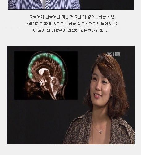 영어를 과학적으로 잘하는법.jpg