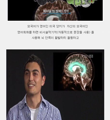 영어를 과학적으로 잘하는법.jpg