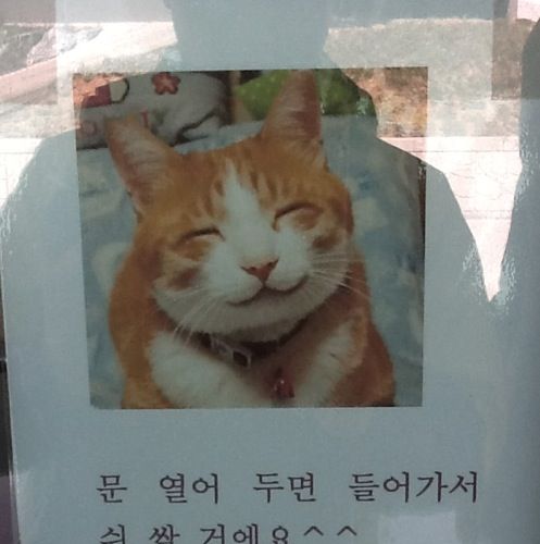 경고한다냥.jpg