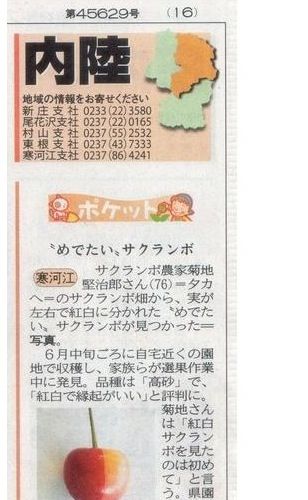 일본 최근 근황.jpg