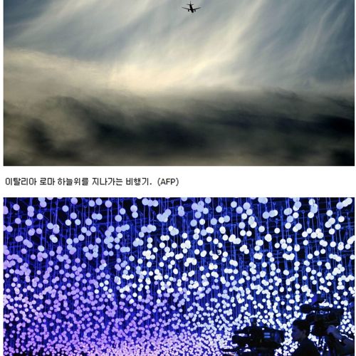 7월 세계 각지 근황.jpg
