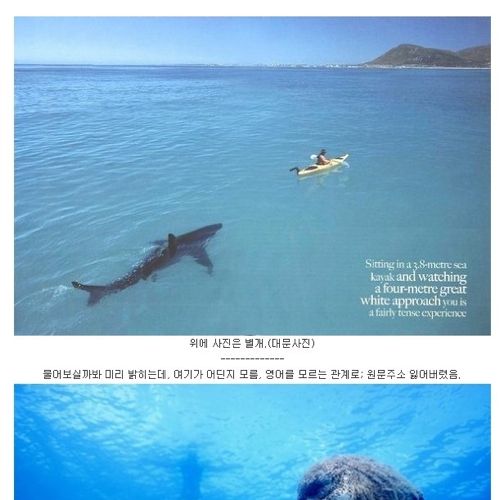 바닷속 예술작품들.jpg