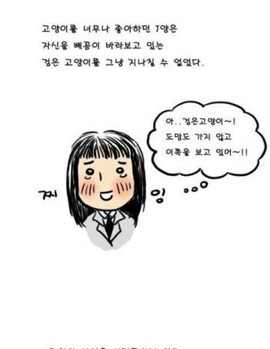 밤에 본 검은고양이.jpg