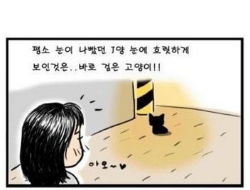 밤에 본 검은고양이.jpg