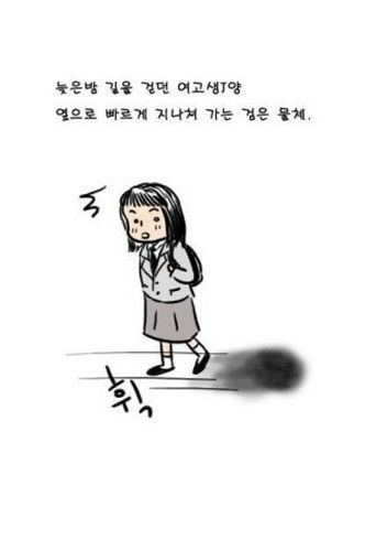 밤에 본 검은고양이.jpg
