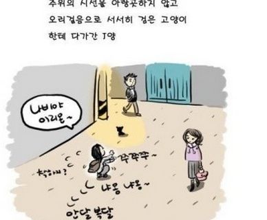 밤에 본 검은고양이.jpg