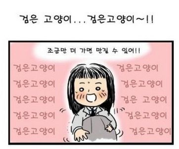 밤에 본 검은고양이.jpg