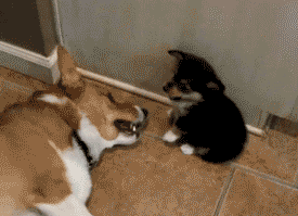 엄마 잠깐 그대로있어봐.gif
