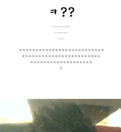 내머리 이제 어떻게함?.jpg