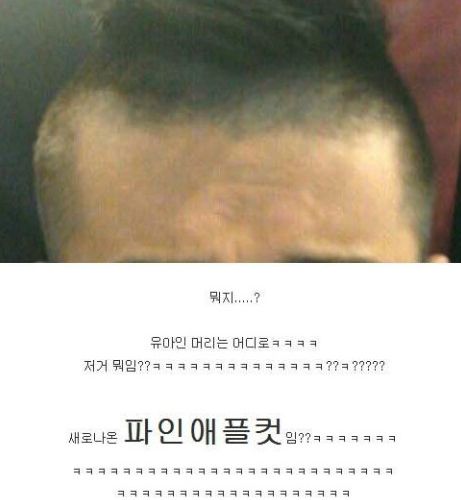 내머리 이제 어떻게함?.jpg