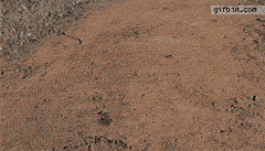 화생방 끝난후 풍경.gif