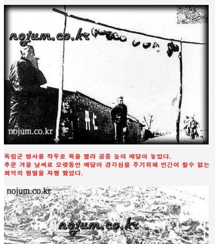 [스압][심약자주의!!]일본의실체