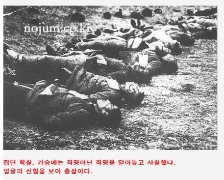 [스압][심약자주의!!]일본의실체