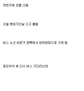 부서진 샌들.jpg