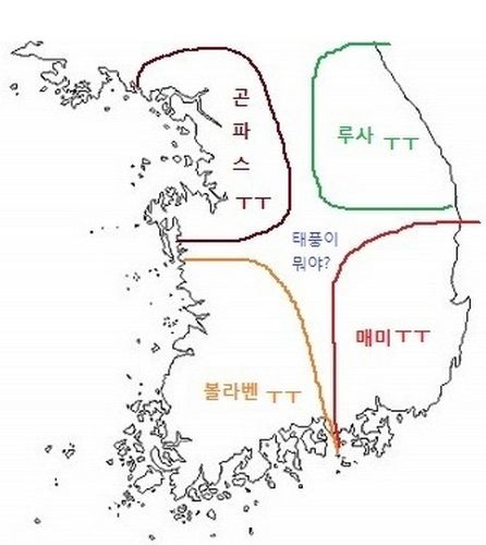 지역별 태풍 데미지.jpg