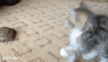우허어어어어 무섭지?.gif