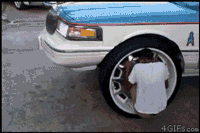 무임승차류 甲.gif