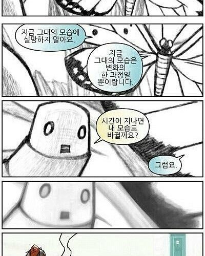  나비 XX끼.jpg