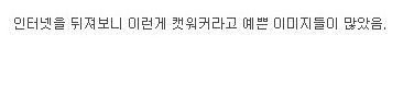 캣워커 사용후기.jpg