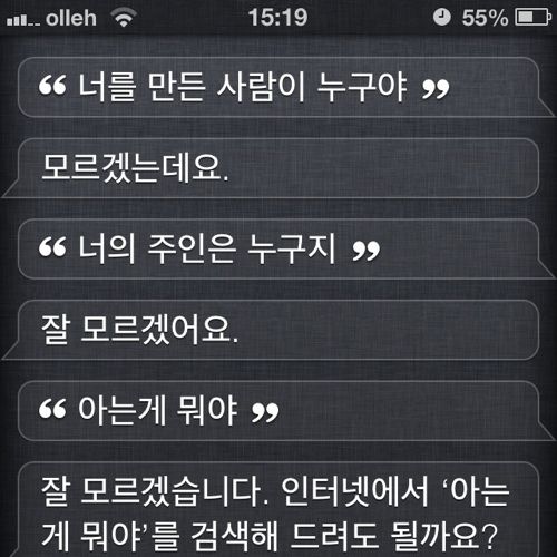 시리는 바보.jpg