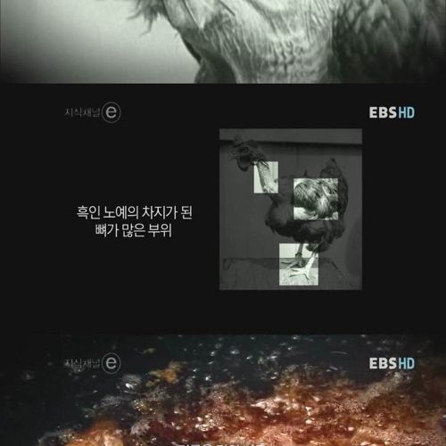 치킨의 역사.jpg