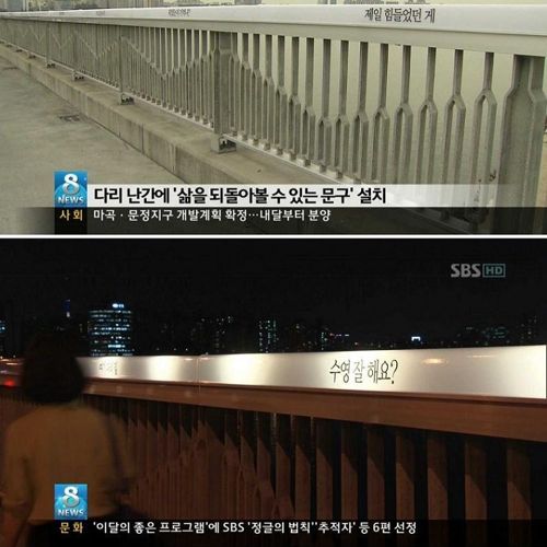 생명의 다리.jpg
