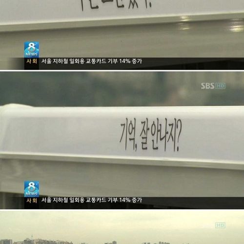생명의 다리.jpg