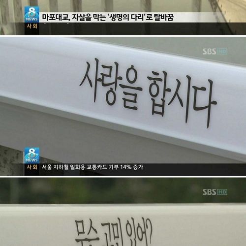 생명의 다리.jpg