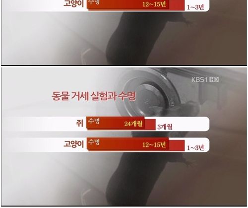 수명을 늘리는 비법.jpg