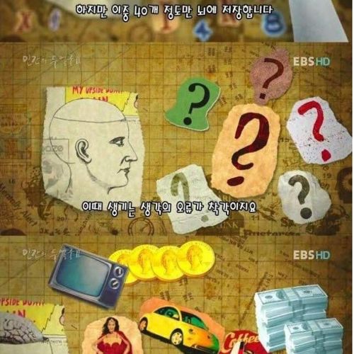 자기중심성.jpg