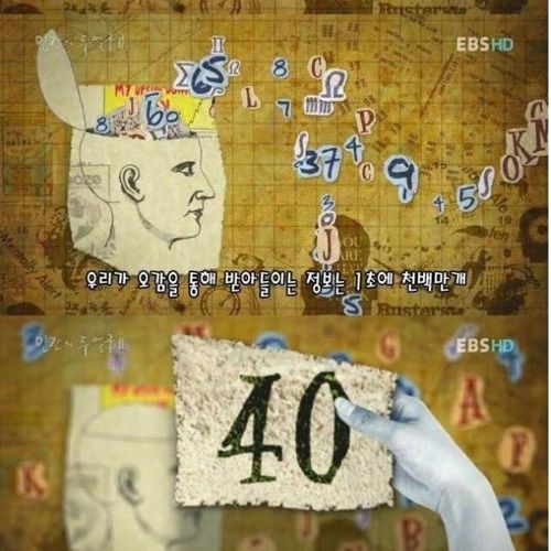 자기중심성.jpg