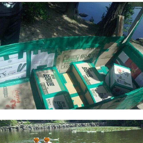 학교 연못에서 뱃놀이한거 자랑