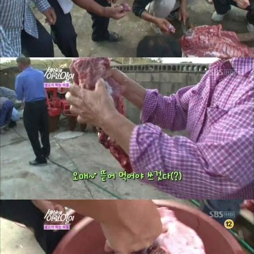생고기 먹는 마을.jpg