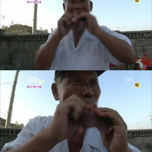 생고기 먹는 마을.jpg
