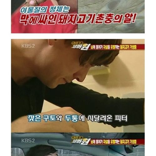 고기는 반드시 익혀먹자.jpg