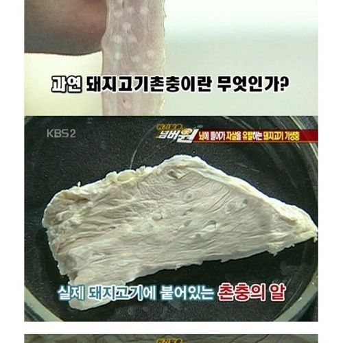 고기는 반드시 익혀먹자.jpg