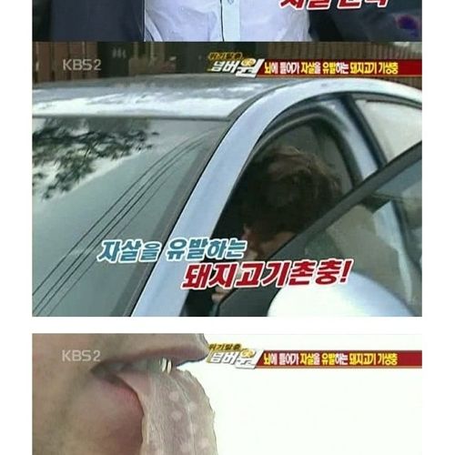 고기는 반드시 익혀먹자.jpg