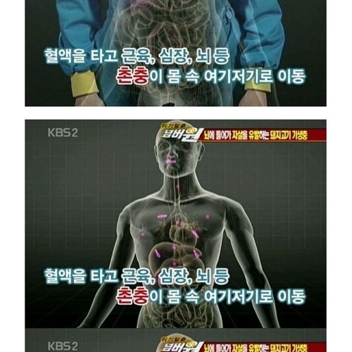 고기는 반드시 익혀먹자.jpg